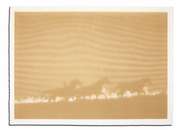 Disasters of Climate Change XIV — The Animals Flee (after Goya), 2021.