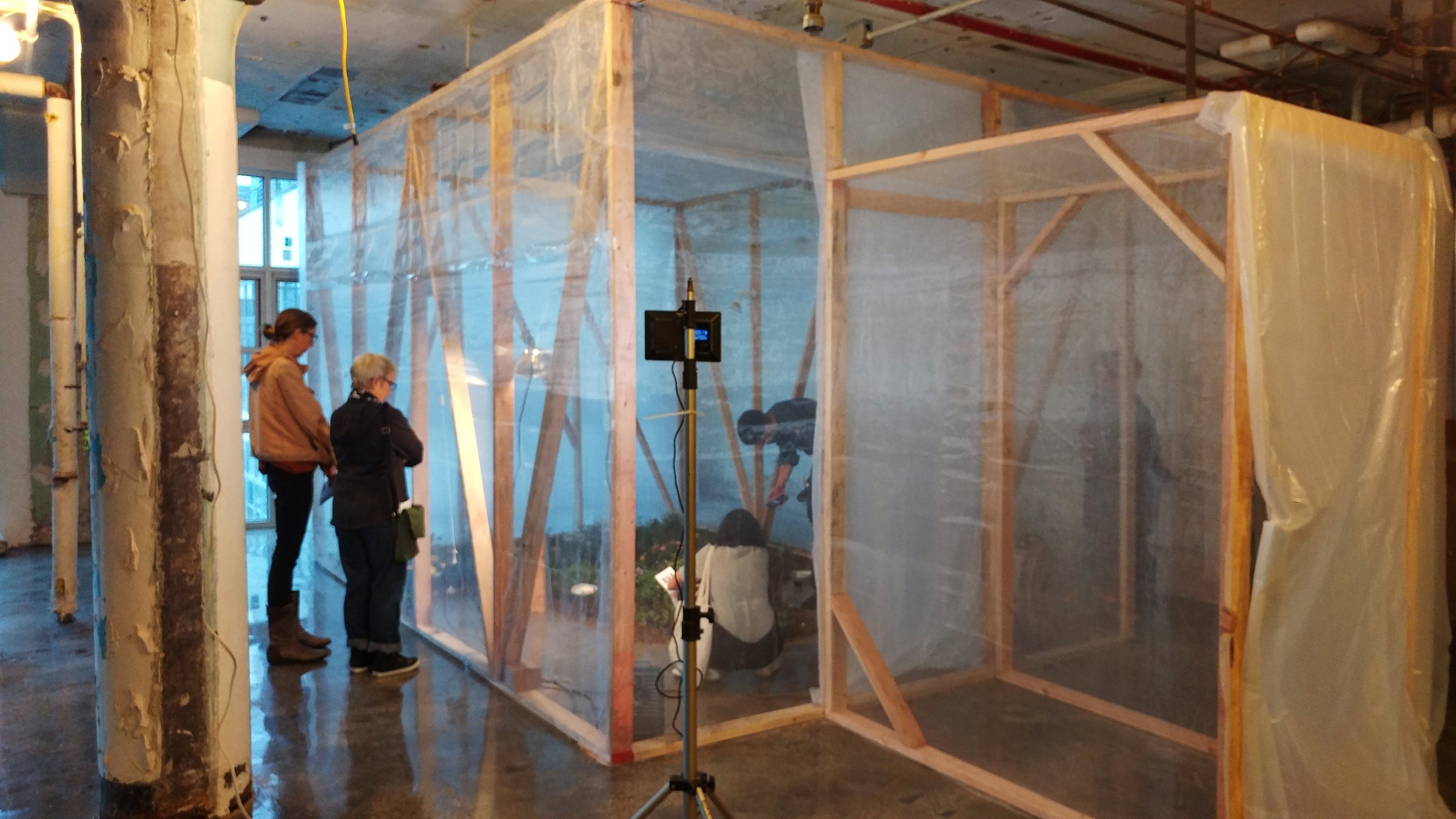 Installation view, Habitat, Pfizer Building, Brooklyn, 2017. Greenhouse enclosure exterior with visitors