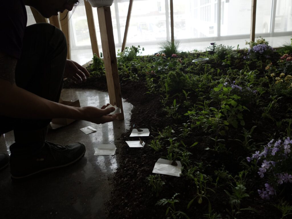 Habitat, Pfizer Building unoccupied floor greenhouse, New York, 2017.