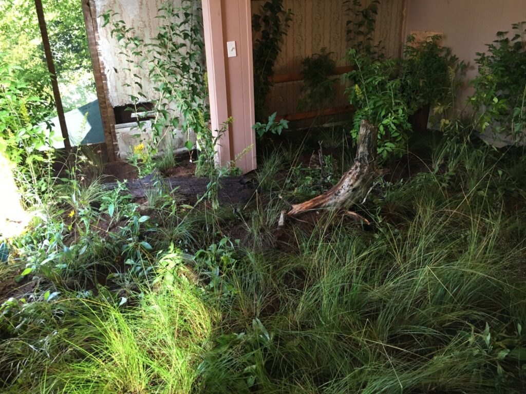 Habitat, Site:Lab, Grand Rapids, 2016.