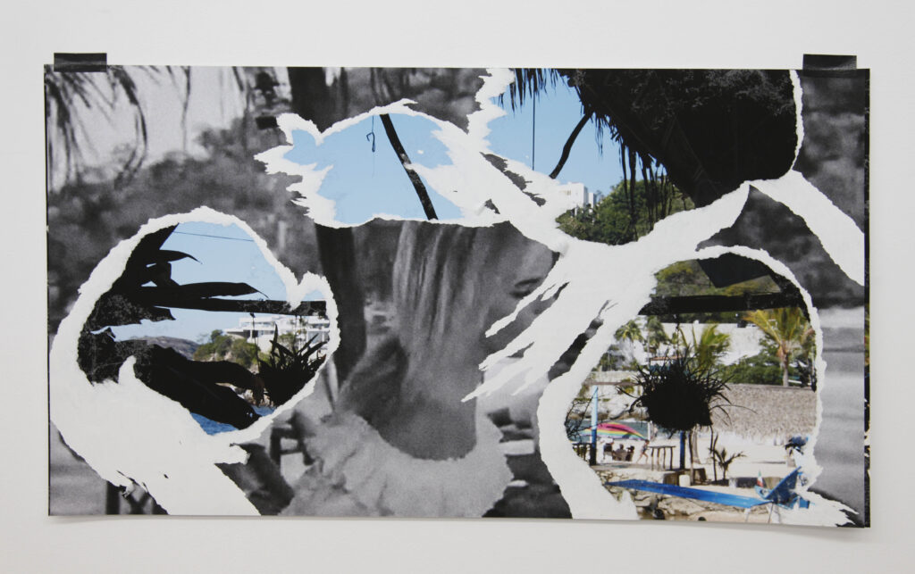 The Night of the Iguana Revisited, 2015. Collage
