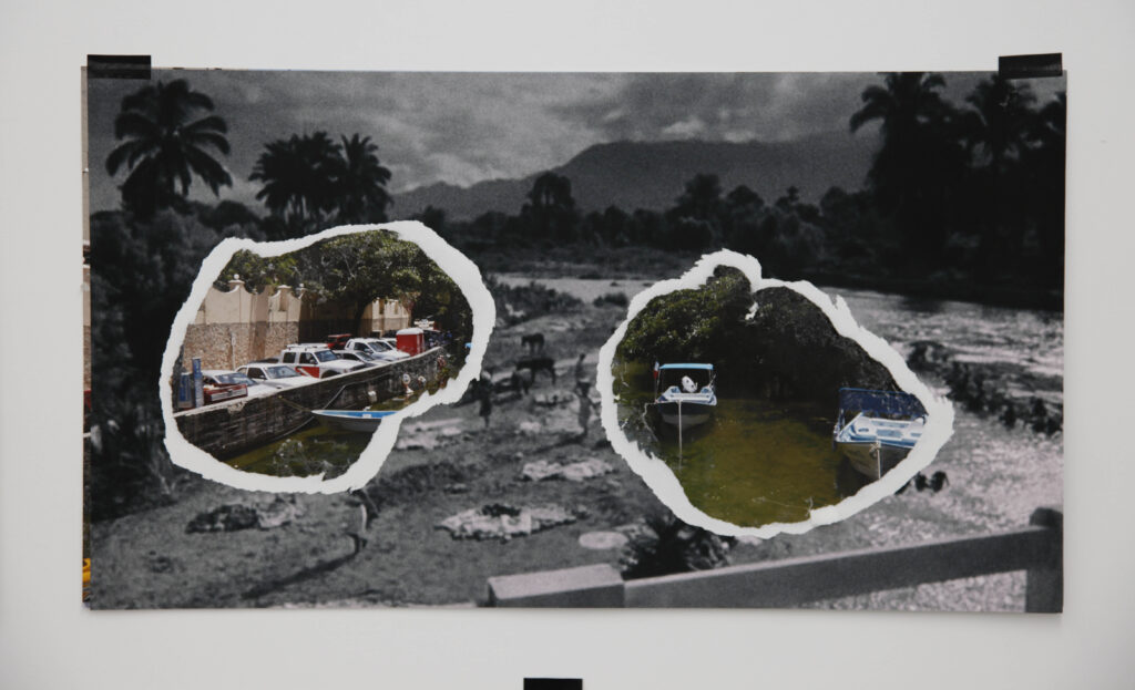 The Night of the Iguana Revisited, 2015. Collage