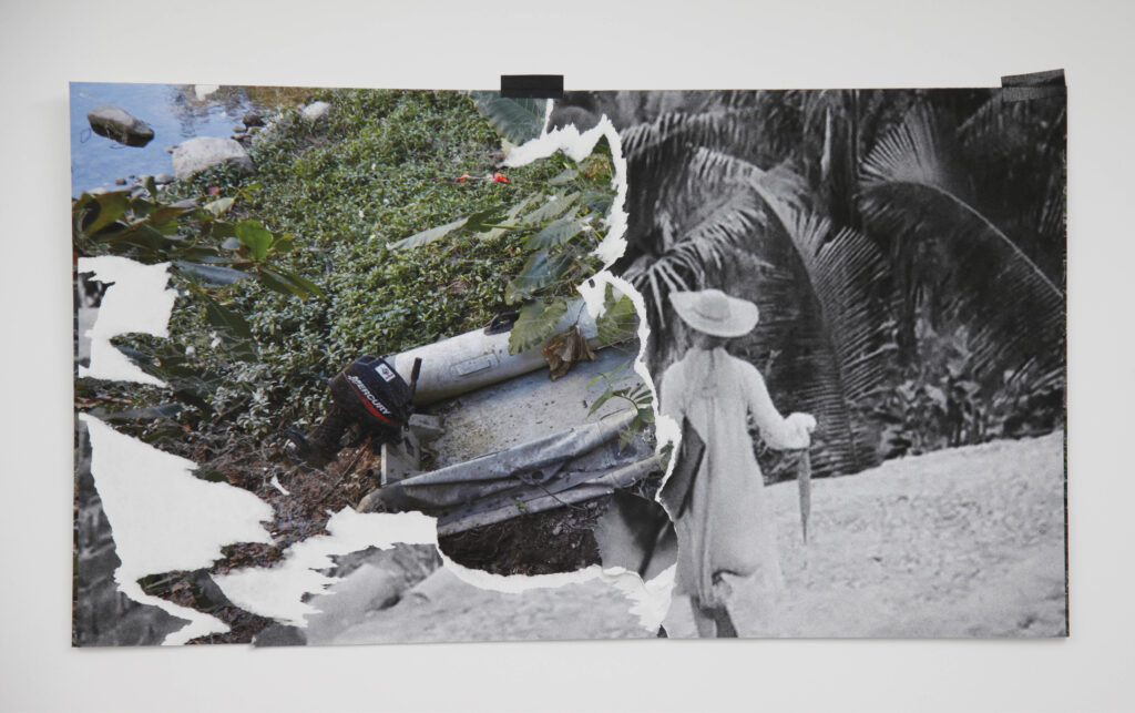 The Night of the Iguana Revisited, 2015. Collage
