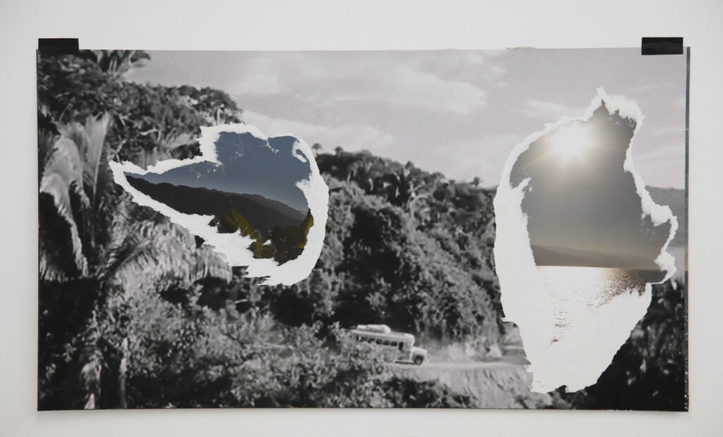 The Night of the Iguana Revisited, 2015. Collage