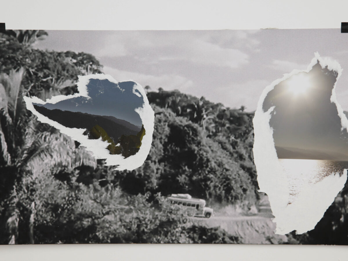 The Night of the Iguana Revisited