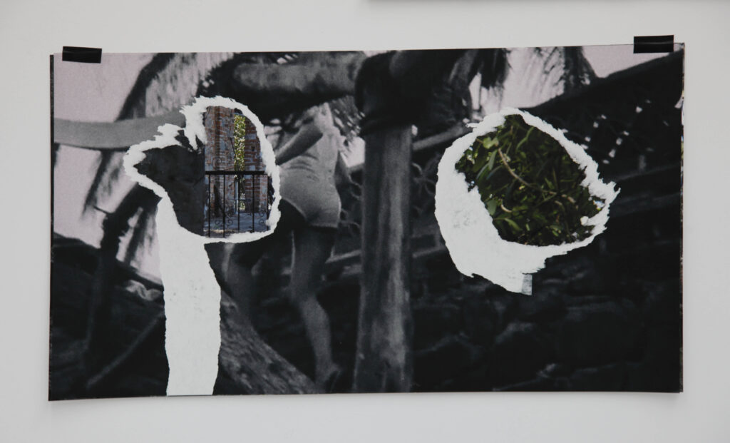 The Night of the Iguana Revisited, 2015. Collage