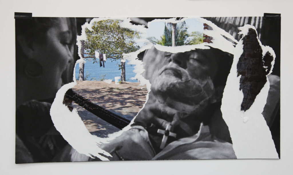 The Night of the Iguana Revisited, 2015. Collage
