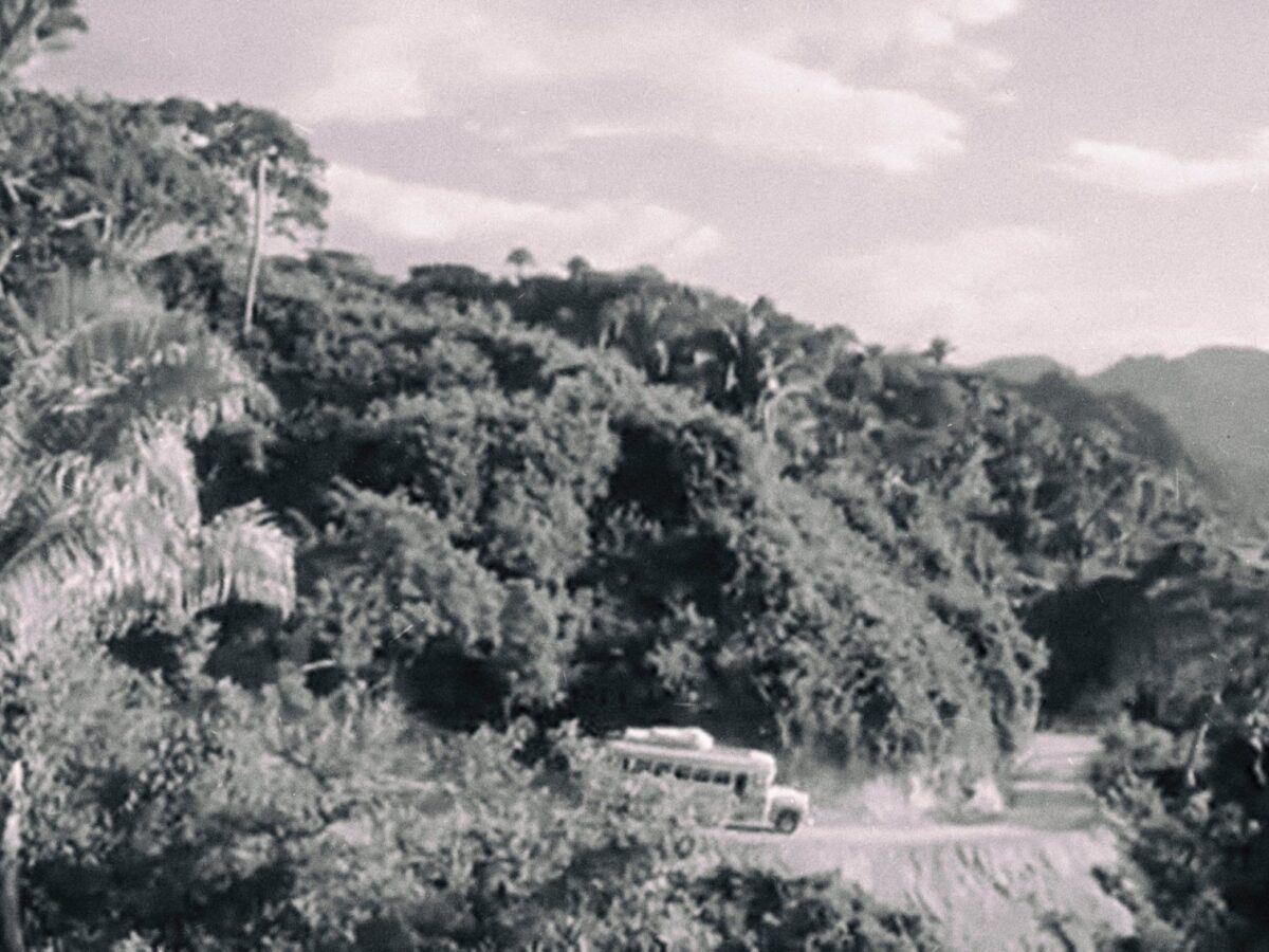 The Night of the Iguana Revisited