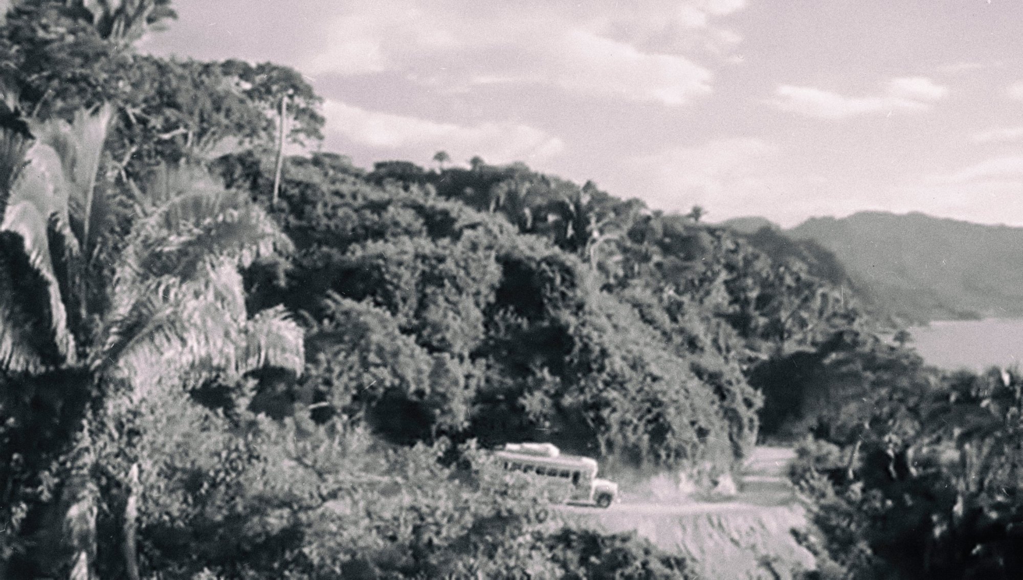 The Night of the Iguana Revisited, 2015. Print, 57 × 33 cm