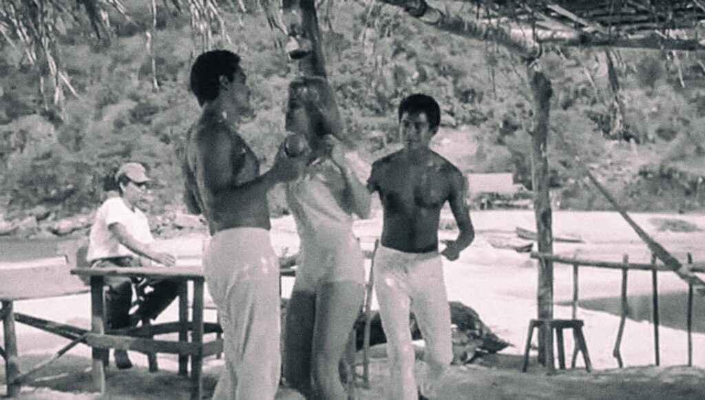 The Night of the Iguana Revisited, 2015. Print, 57 × 33 cm