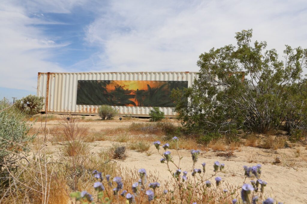 Joshua Tree Treenial, 2018–19. Daytime view.