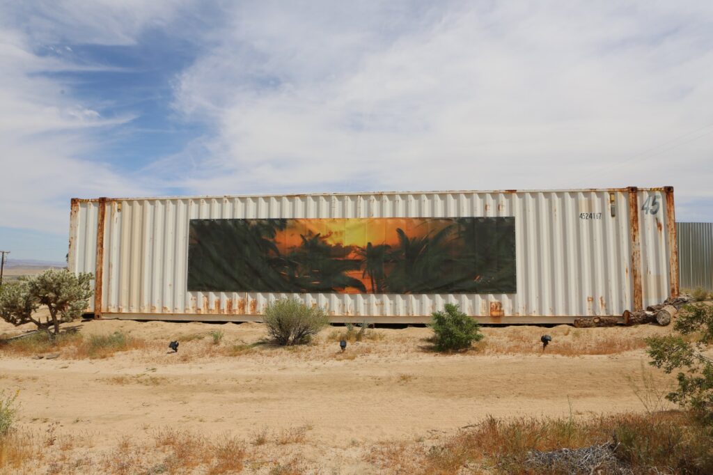 Joshua Tree Treenial, 2018–19.