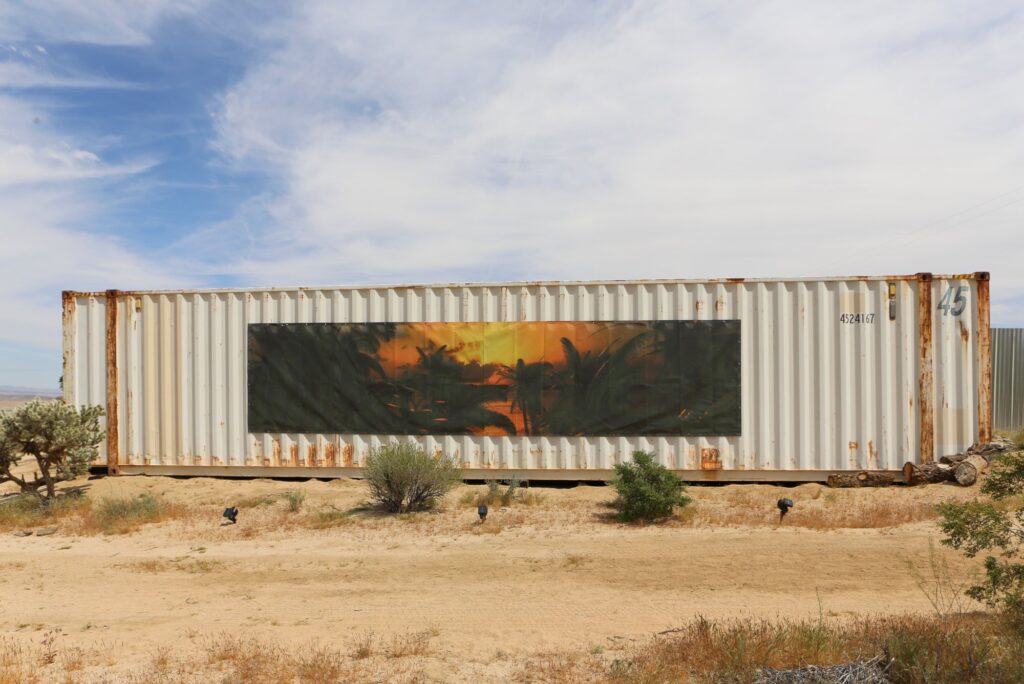 Joshua Tree Treenial, 2018–19.