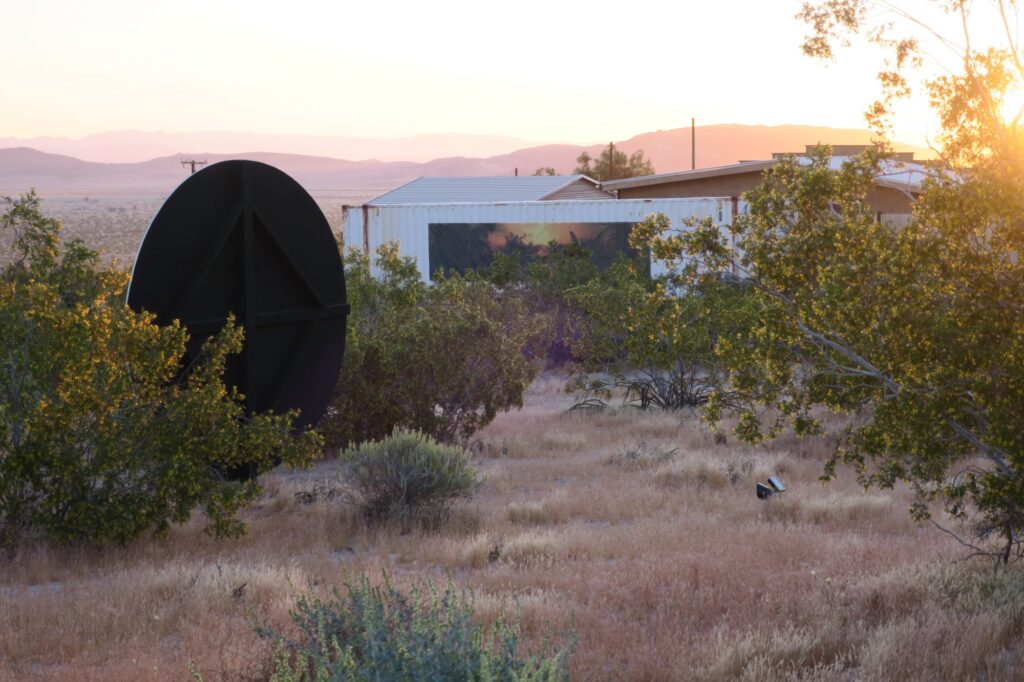 Joshua Tree Treenial, 2018–19.