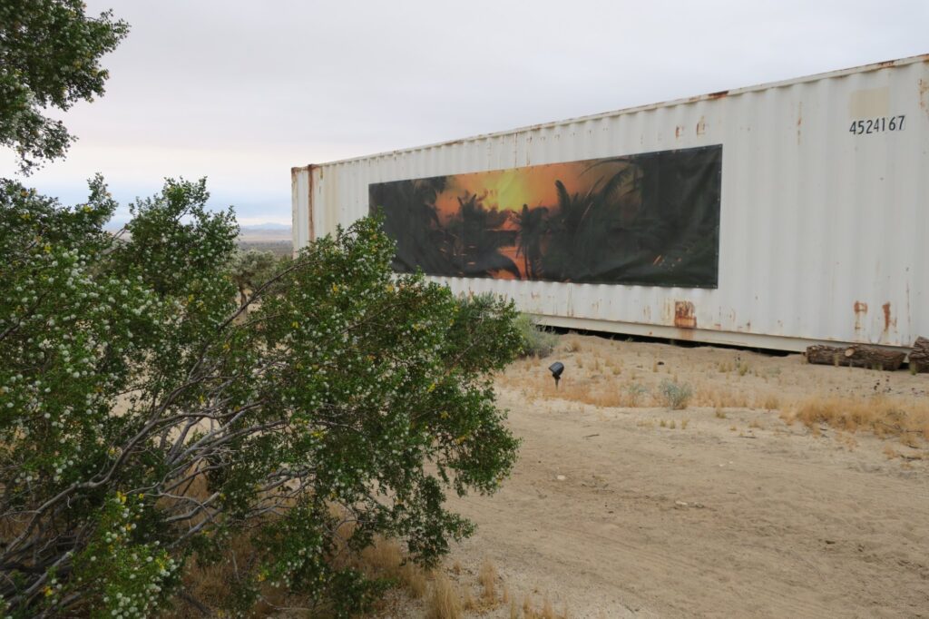 Joshua Tree Treenial, 2018–19.