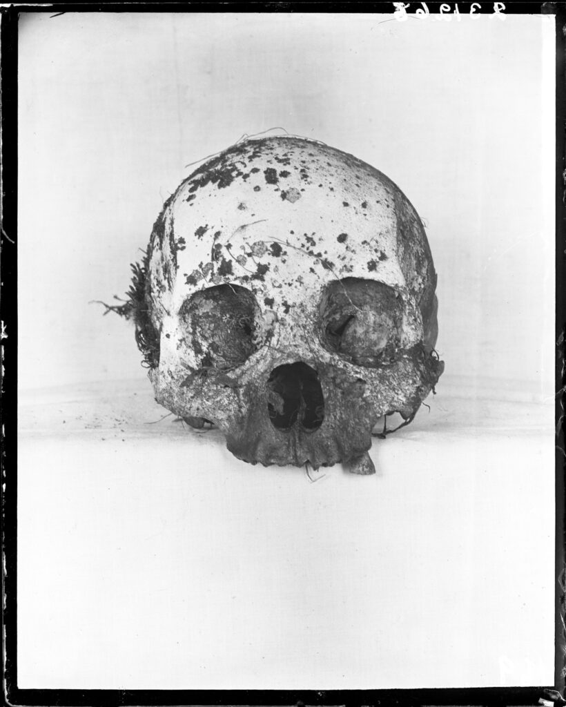 Crocker Land – Nowhere to Be Found_01, 2010. Silver gelatin print of a skull