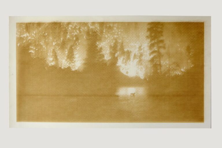 Disasters of Climate Change — Laser Prints California Wildfires 2019
