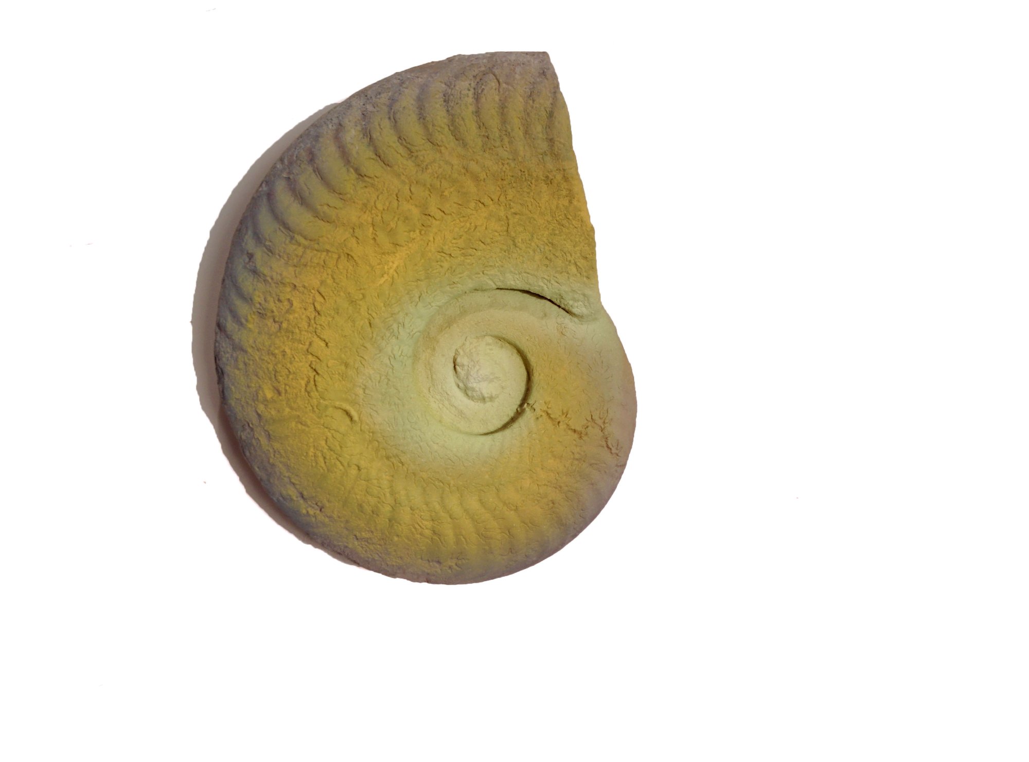 Objects of Unbelonging (fossilized ammonite), 2015. Airbrushed gradient.