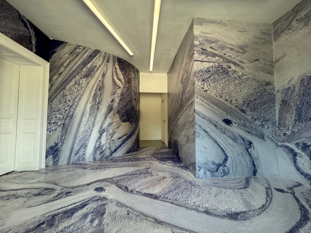 Mining Landscape, West Virginia, installation view, Villa du Parc, Annemasse, 2026