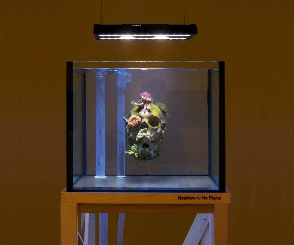 Nowhere to Be Found, Marianne Boesky Gallery, New York, 2013.