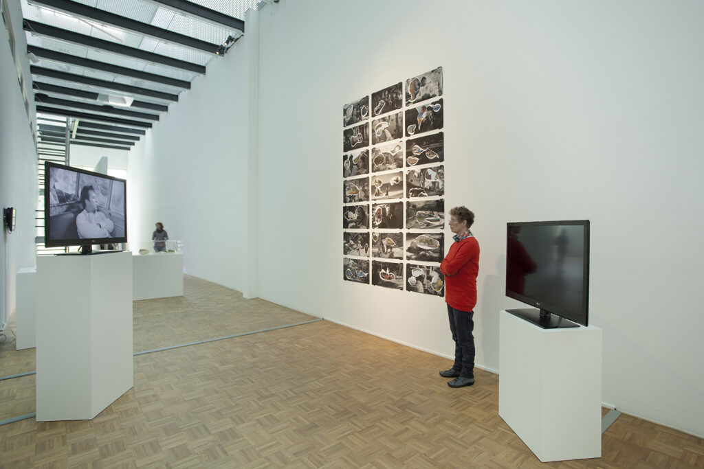 The Night of the Iguana Revisited, installation view, Kunsthal Rotterdam, 2015