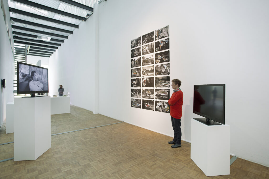 The Night of the Iguana Revisited, installation view, Kunsthal Rotterdam, 2015