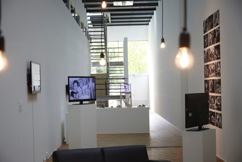 The Night of the Iguana Revisited, installation view, Kunsthal Rotterdam, 2015