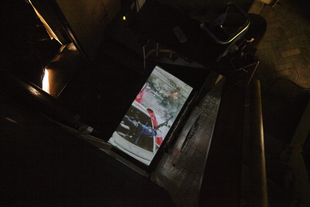 The Night of the Iguana Revisited, installation view, Rise Projects, London, 2015