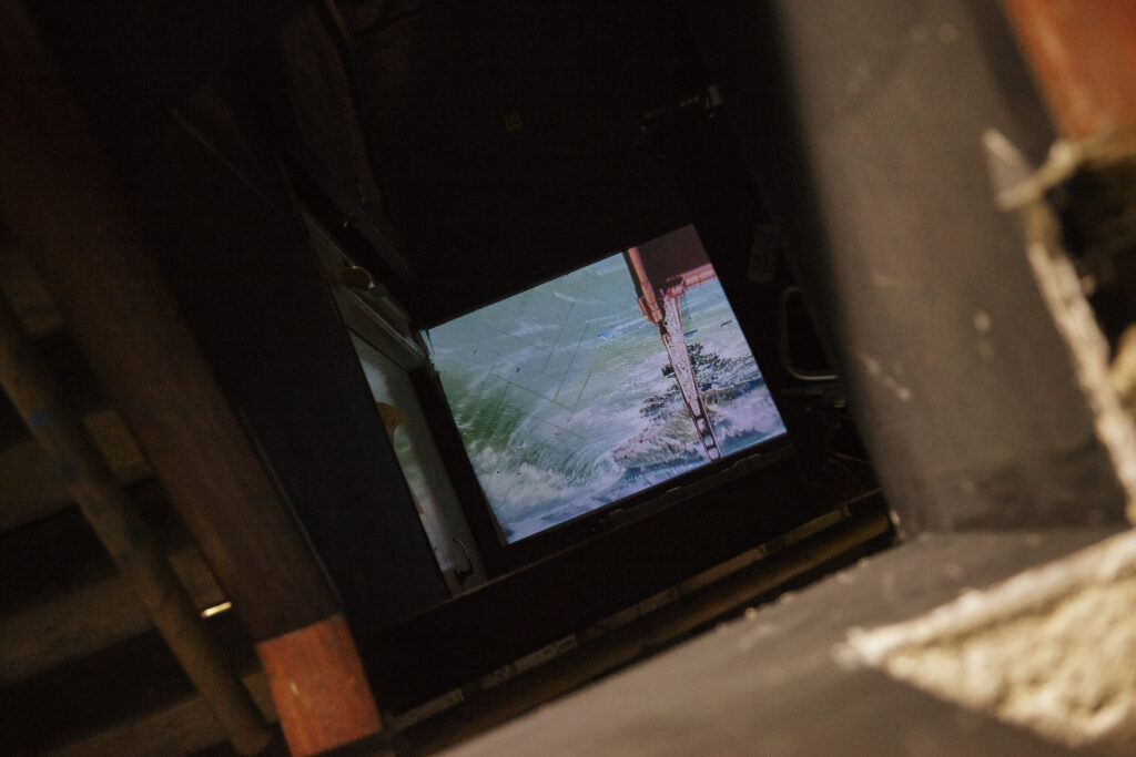 The Night of the Iguana Revisited, installation view, Rise Projects, London, 2015