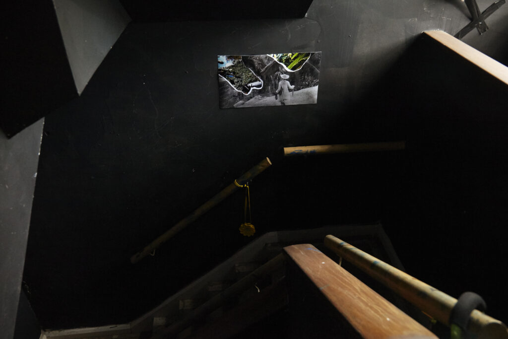 The Night of the Iguana Revisited, installation view, Rise Projects, London, 2015
