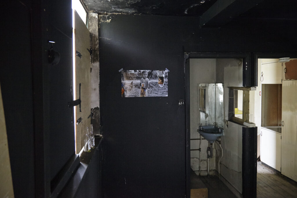 The Night of the Iguana Revisited, installation view, Rise Projects, London, 2015