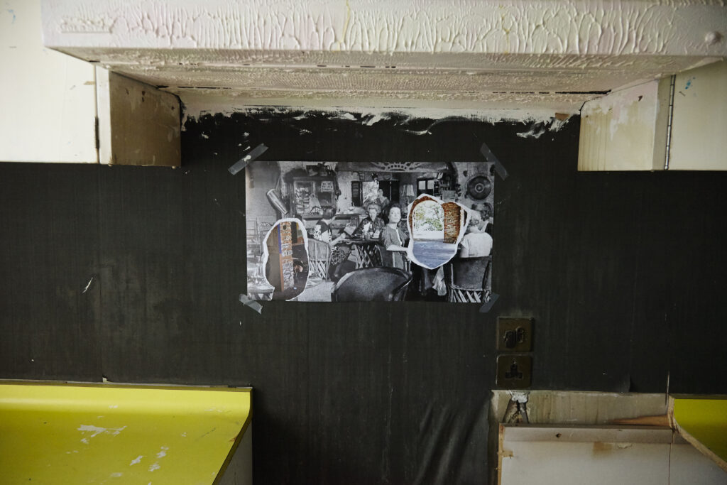 The Night of the Iguana Revisited, installation view, Rise Projects, London, 2015