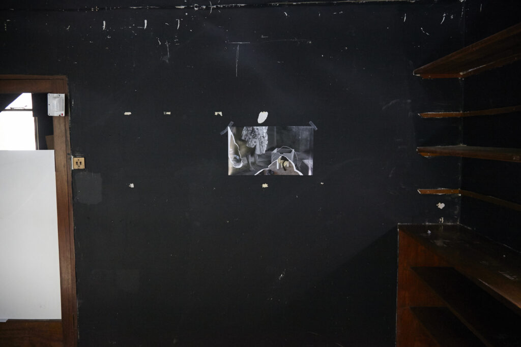 The Night of the Iguana Revisited, installation view, Rise Projects, London, 2015
