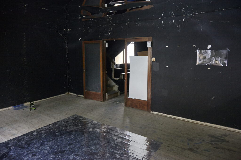 The Night of the Iguana Revisited, installation view, Rise Projects, London, 2015