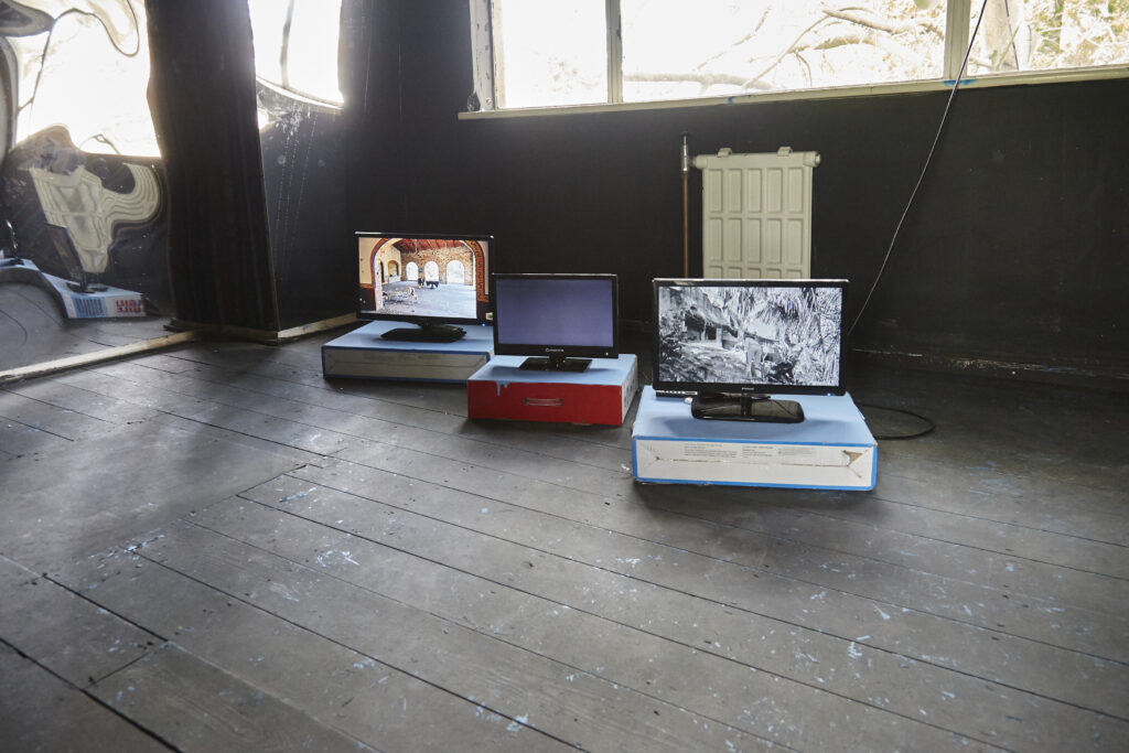 The Night of the Iguana Revisited, installation view, Rise Projects, London, 2015