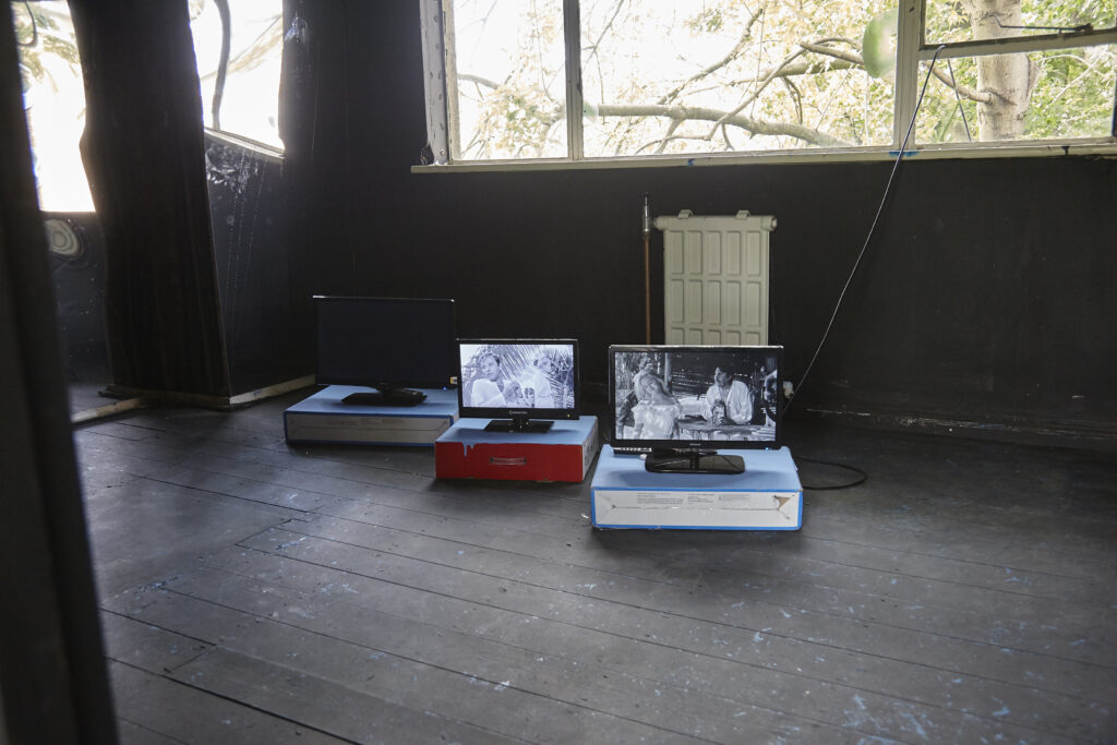 The Night of the Iguana Revisited, installation view, Rise Projects, London, 2015