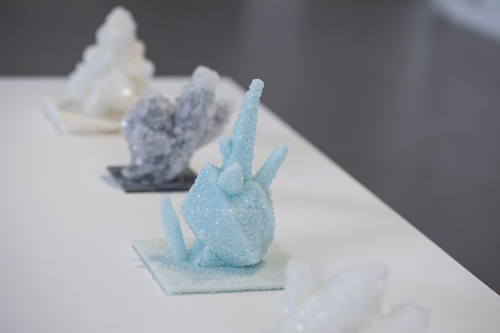 Bildraum Bregenz, 2024. Photo: Petra Rainer.