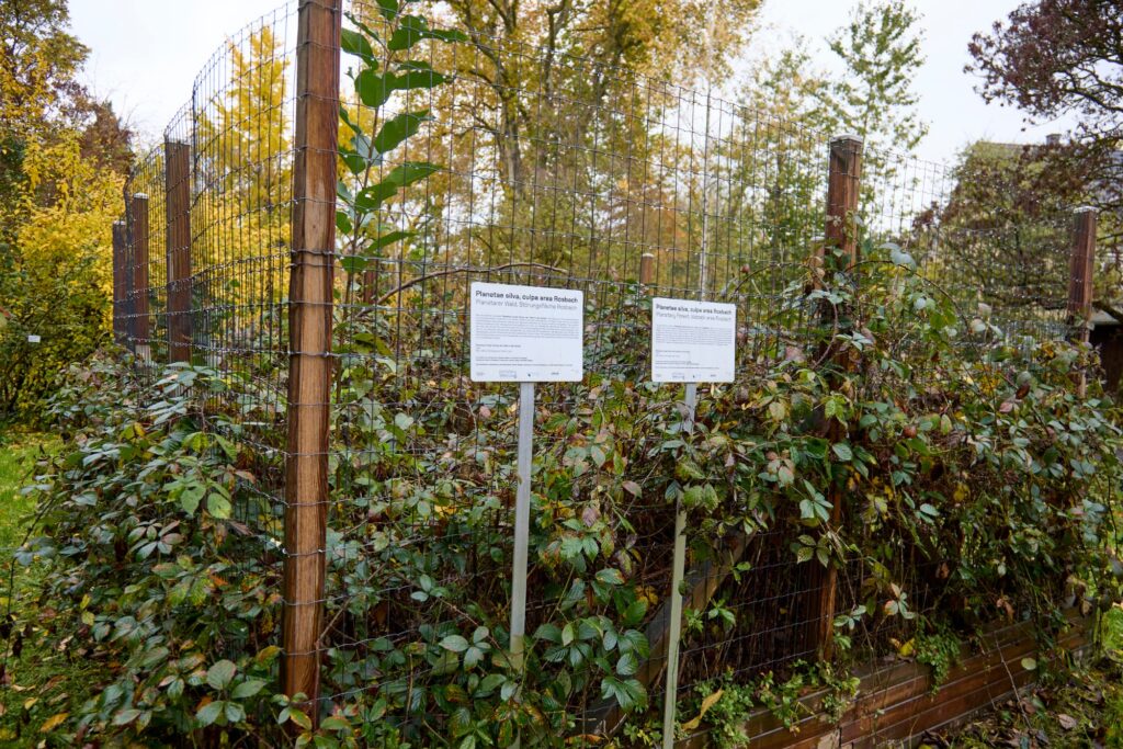 Planetary Forest, Botanical Garden Giessen, 2025.
