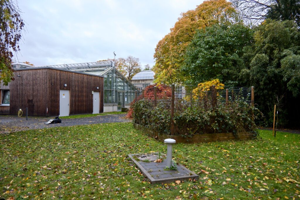 Planetary Forest, Botanical Garden Giessen, 2025.