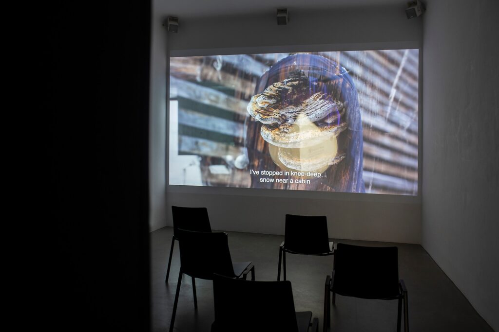 Bildraum Bregenz, 2024. Photo: Petra Rainer.