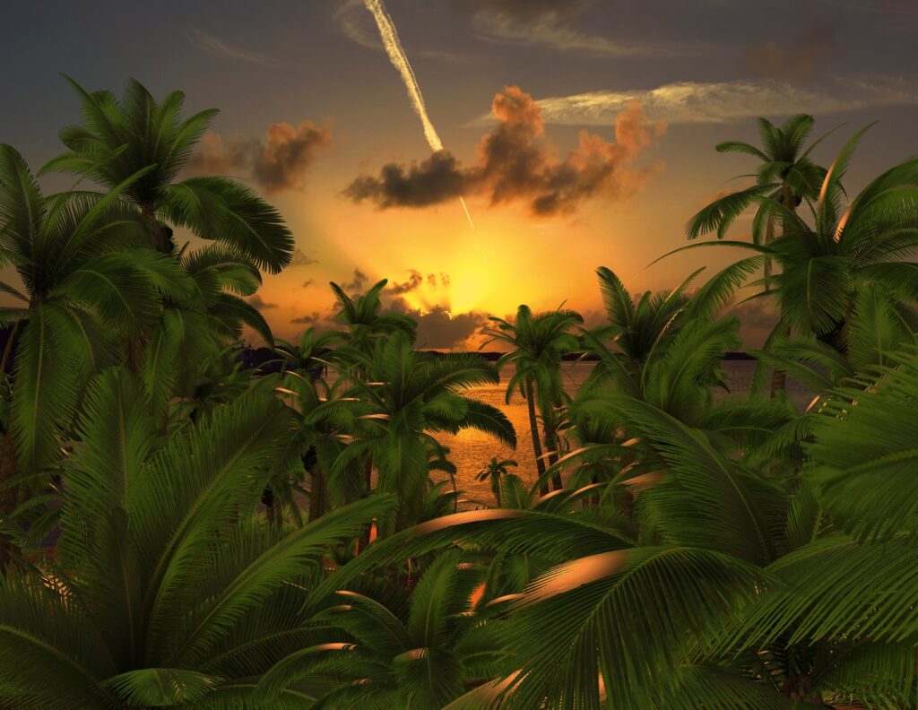 Sunset in Simulacrum (Palm), 2014. 3D-rendered lightbox.