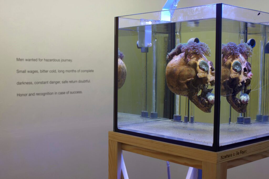 Nowhere to Be Found, installation view with wall text, Brotfabrik, Berlin, 2010.