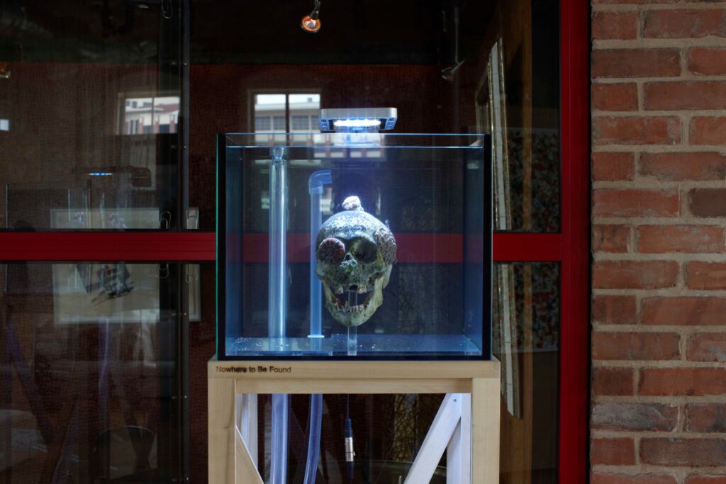 Nowhere to Be Found, installed in a private collection, Houston, 2010.