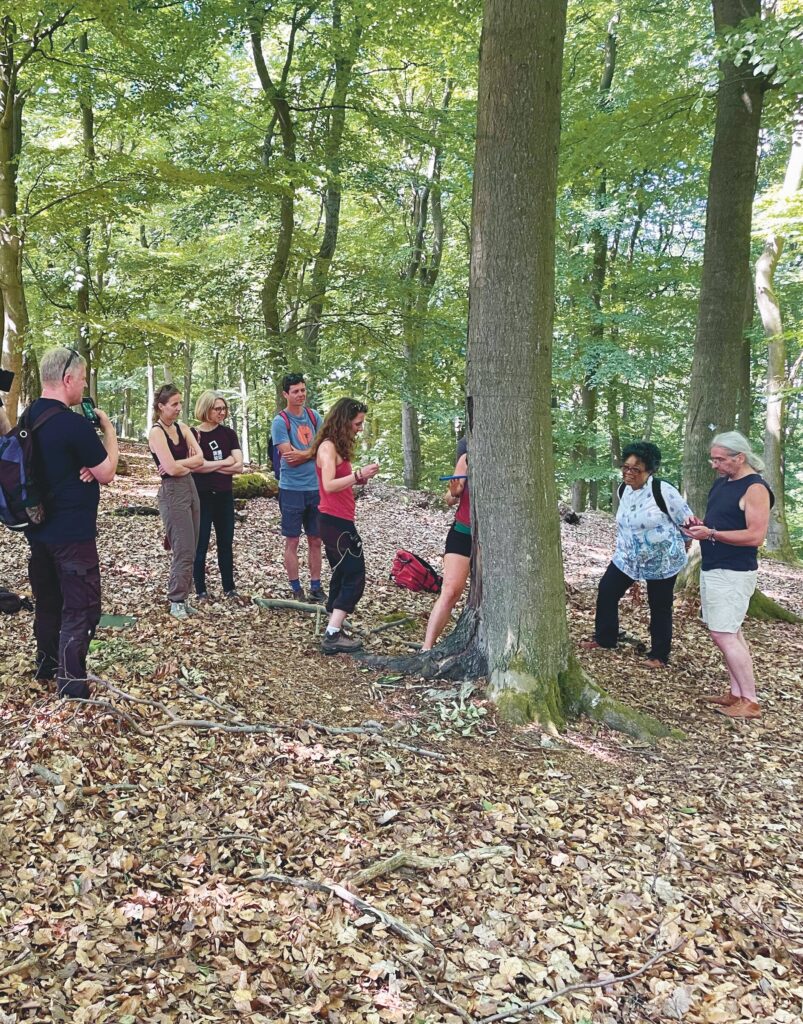 Participants of the walkabout in the beech forest