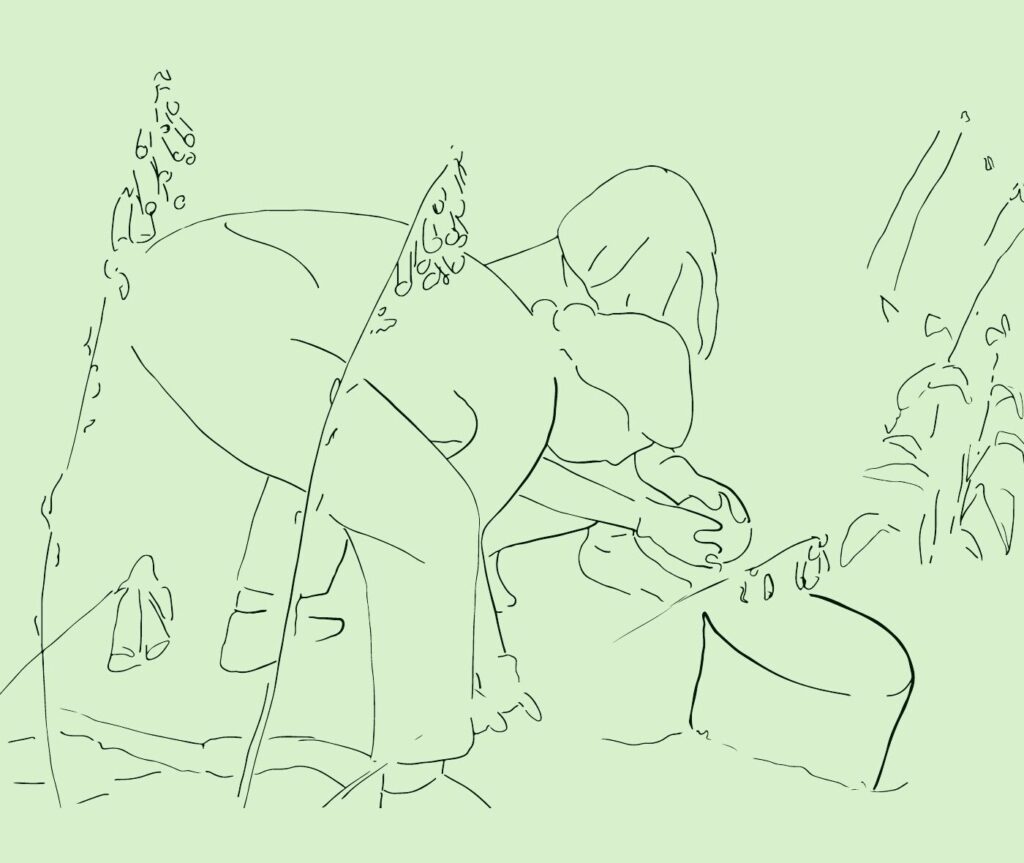 Line drawing of a participant collecting forest material