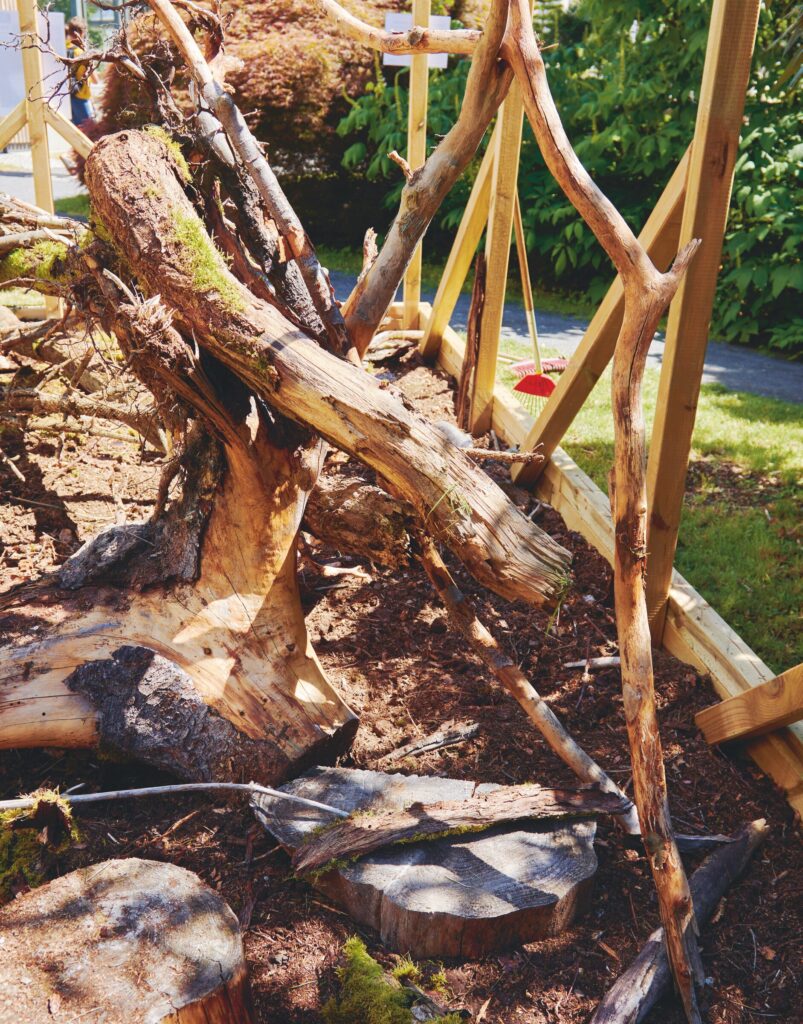 Deadwood arranged inside the wooden frame