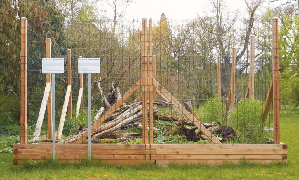 Frontal view of the sculpture, March 2023