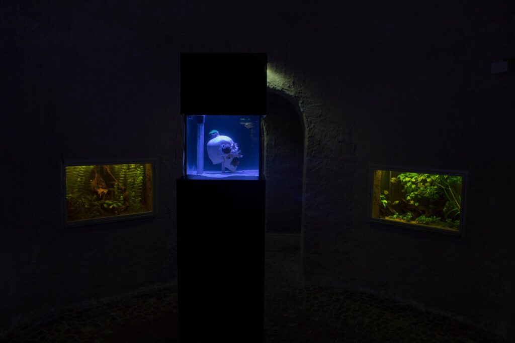 Nowhere to Be Found, in the grotto of the Palm House, Simulacrum – Virtuelle Welten, Palmengarten Frankfurt, 2017.