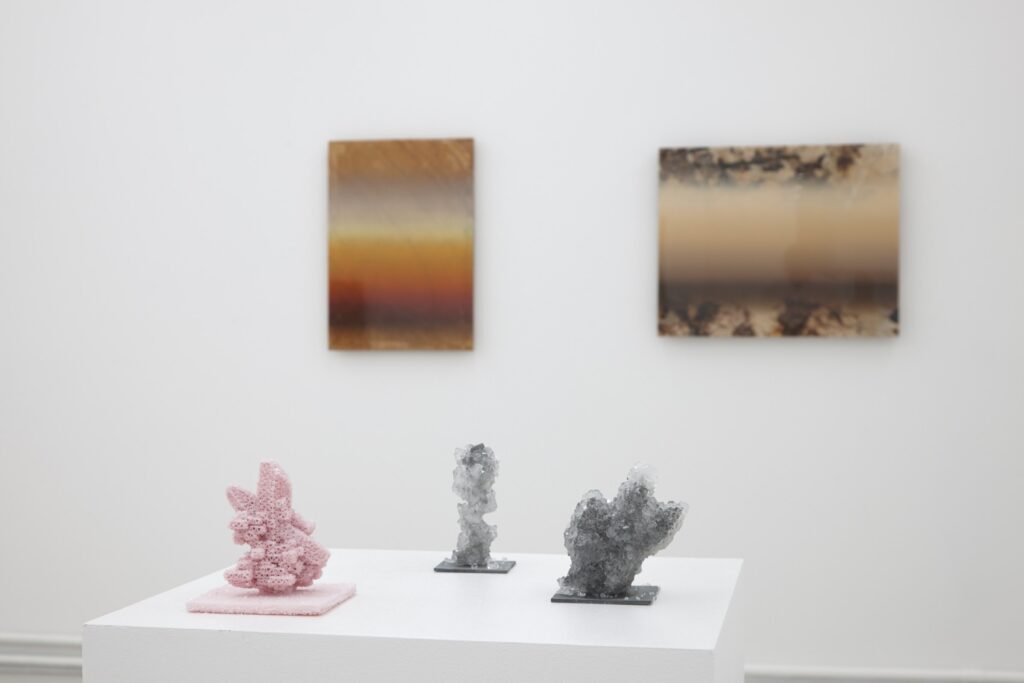 Mathias Kessler, Forever and Sunsmell, installation view, Galerie Heike Strelow, Frankfurt, 2019